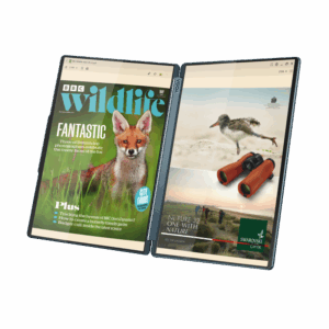 YG Book9 14T 2.8K U9 285H 32 1T UMA W11H - imagine 3