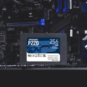 PT SSD 256GB SATA P220S256G25 - imagine 7