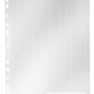 Mapa LEITZ CombiFile, cu eticheta, PP, A4, 200 mic, 40 coli, pre-perforata, 5 buc/set, transparent