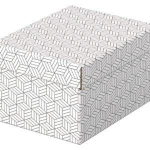 Cutie depozitare Esselte Recycled, carton, 100% reciclat, FSC, 25x20x15 cm, cu capac, 3 buc/set, alb