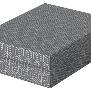 Cutie depozitare Esselte Recycled, carton, 100% reciclat, FSC, 36x26x10 cm, cu capac, 3 buc/set, gri