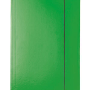 Mapa cu elastic ESSELTE Economy, carton, A4, verde